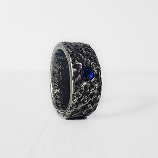 Exemplar - Sapphire Set in Stainless Steel - Ring